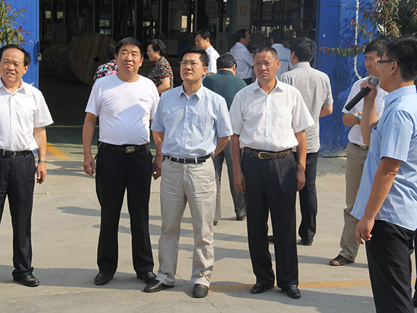 晋城市市长孟祥伟到公海5500线路检测线缆集团视察