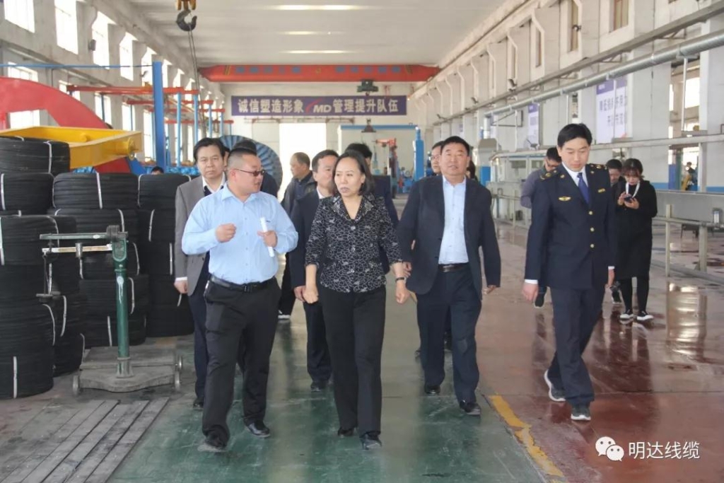 河北省市场监管局党组书记丁锦霞莅临公海5500线路检测调查调研