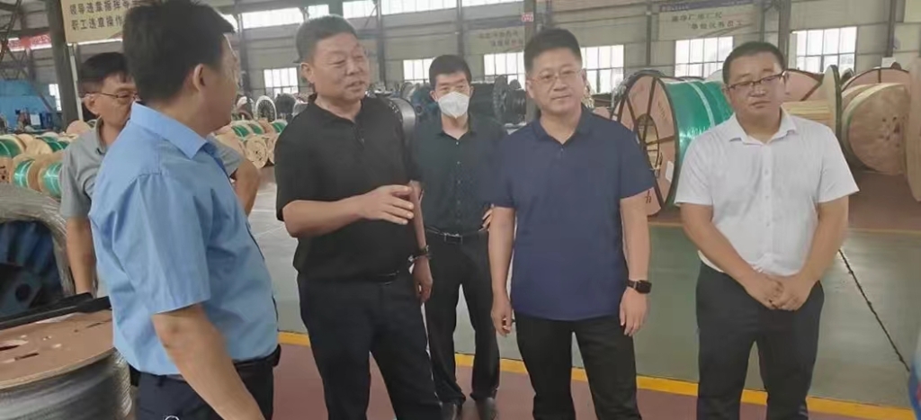 宁晋县辅导李军华到公海5500线路检测调研